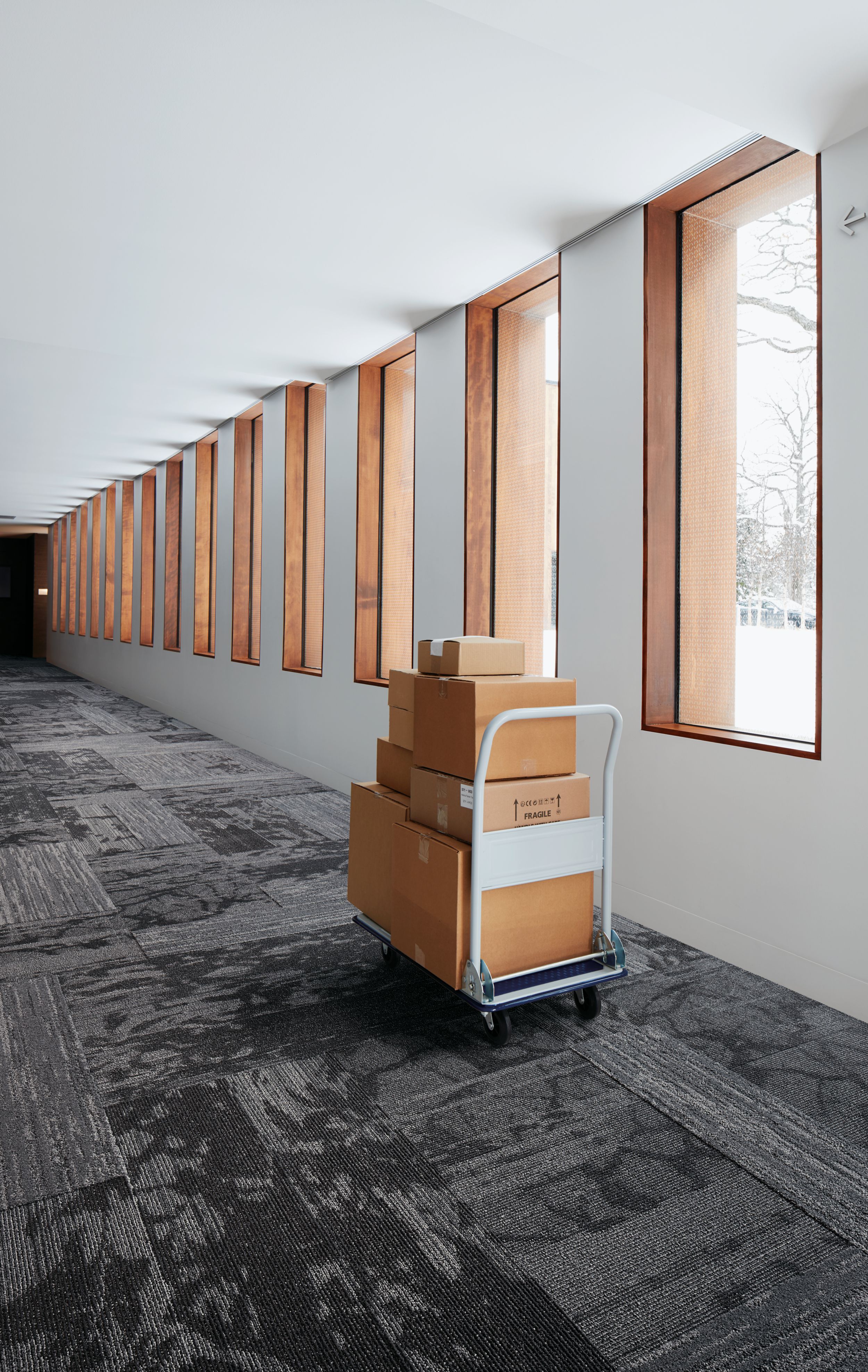 Interface Glazing, Ground and Progression I plank carpet tile in hallway with mail cart numéro d’image 4